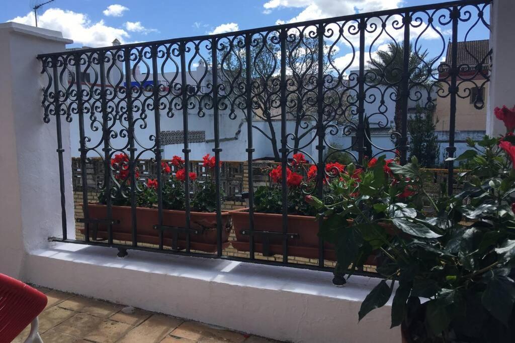 Geranium House Sevilha Exterior foto